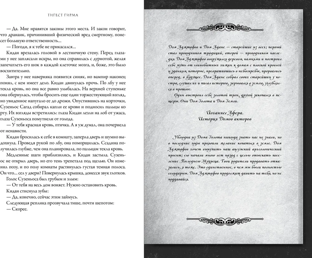 Художественная книга Азбука Бессмертная тьма, твердая обложка (Гирма Тигест) — фото 6