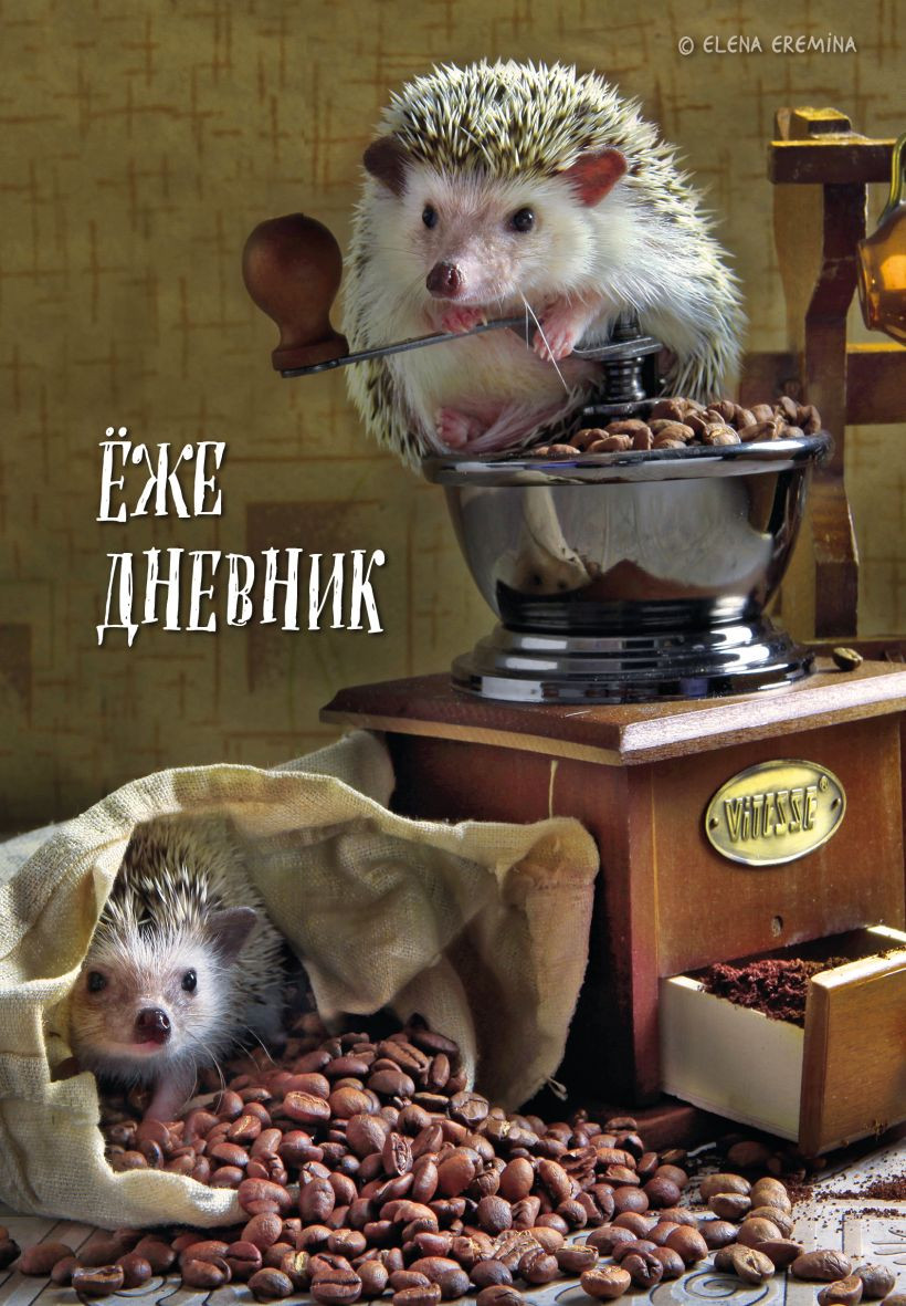 Ежедневник Эксмо для людей и ежей (9785042023323)