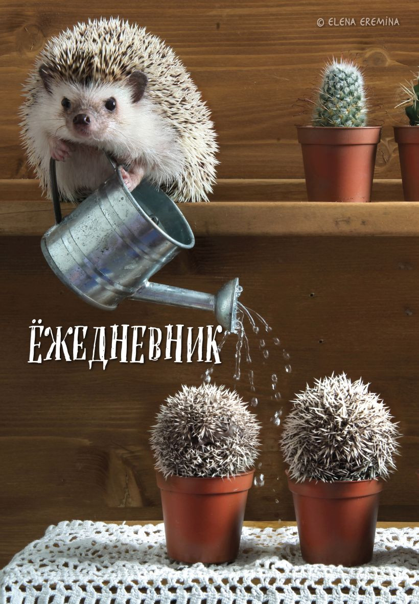 Ежедневник Эксмо для людей и ежей (9785042023309)