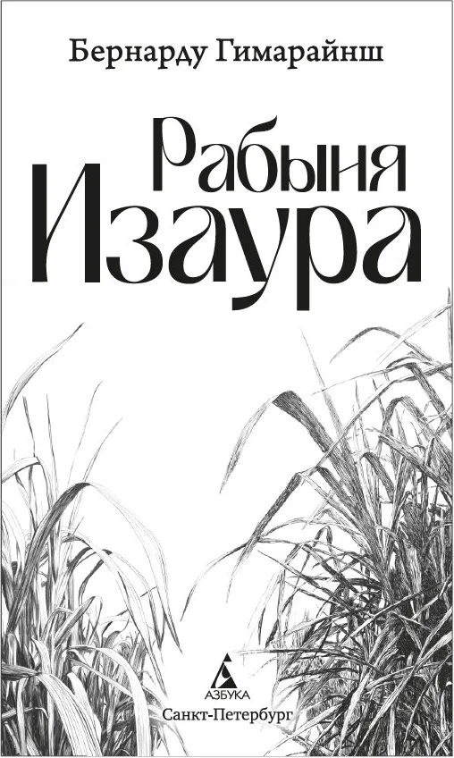 Художественная книга Азбука Рабыня Изаура, твердая обложка (Гимарайнш Бернарду) — фото 2