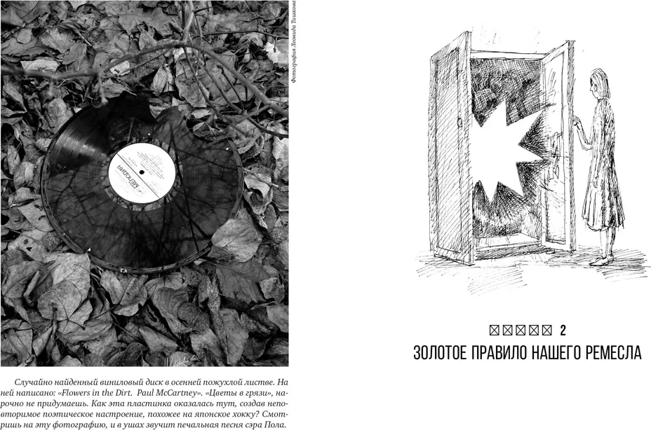 Книга Азбука Учись видеть, твердая обложка (Москвина Марина) — фото 6