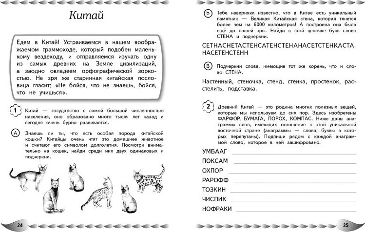Учебное пособие Эксмо Пишу без ошибок. Для детей 9-10 лет, мягкая обложка (Емельянова Екатерина) — фото 4