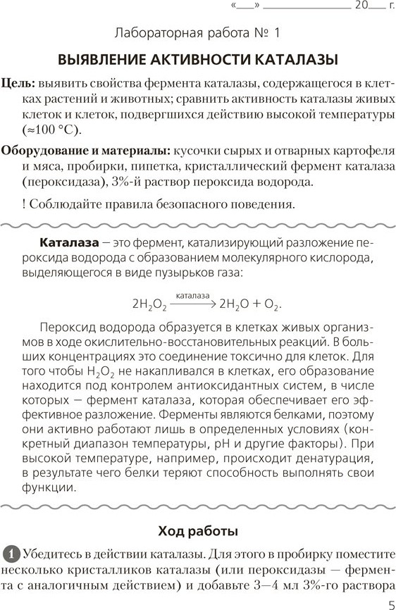 Рабочая тетрадь Аверсэв Биология. 11 класс. Для лабораторных и практических работ 2025 (Хруцкая Тамара) — фото 4