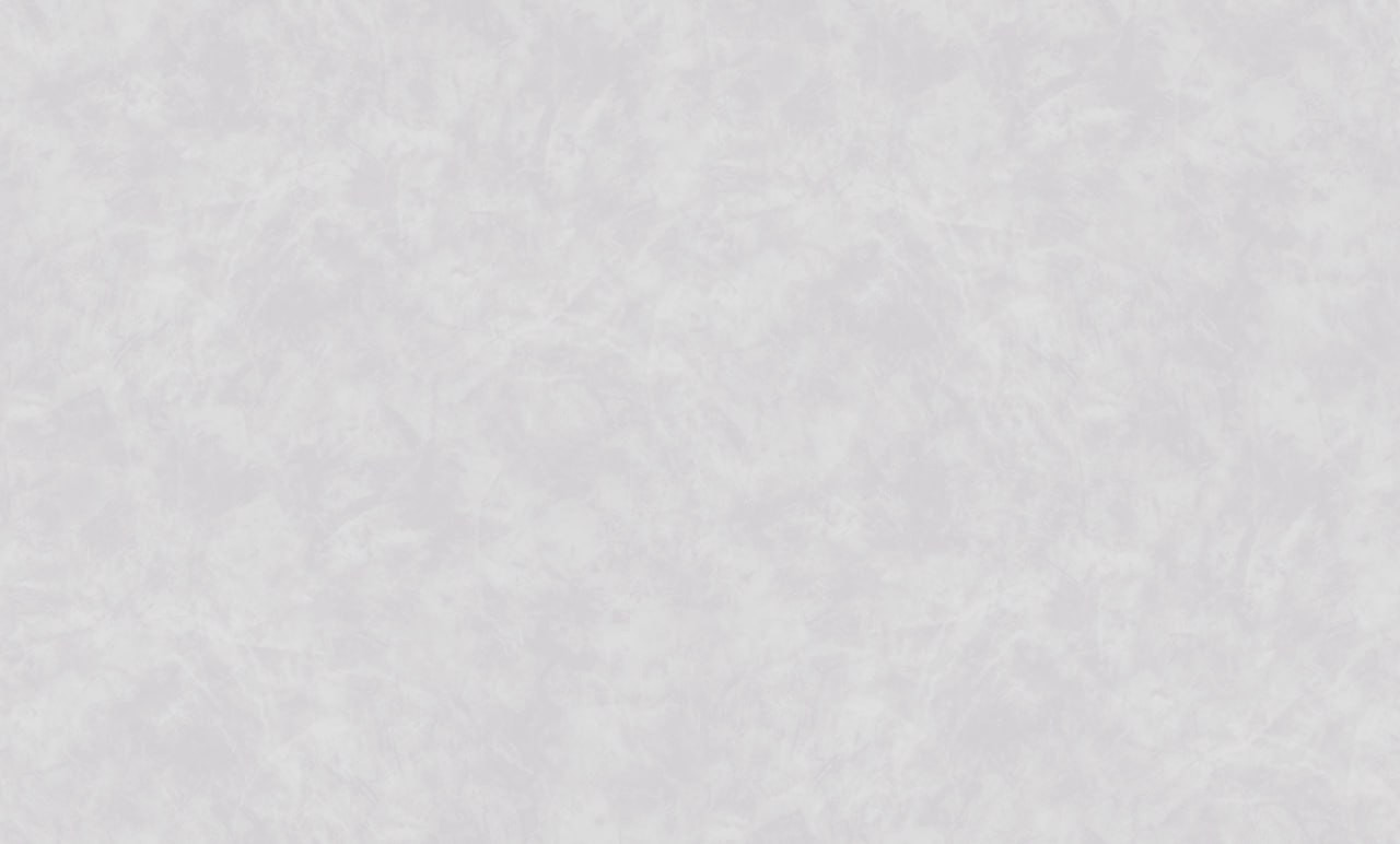 Виниловые обои DecoStyle Baron 589591