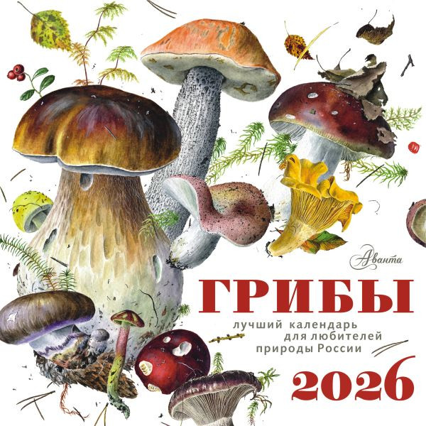 Календарь настенный АСТ Грибы. 2026 год (9785171739638)