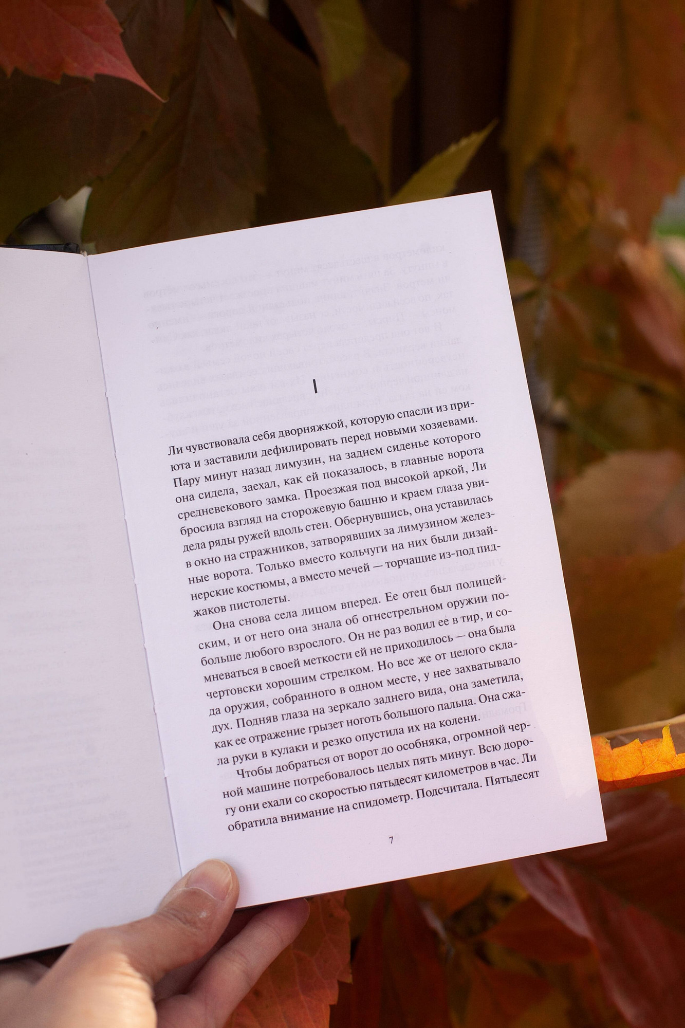 Художественная книга МИФ Ли Ховард и призраки поместья Симмонсов-Пирсов (Уорнер Шон 9785002149421) — фото 3