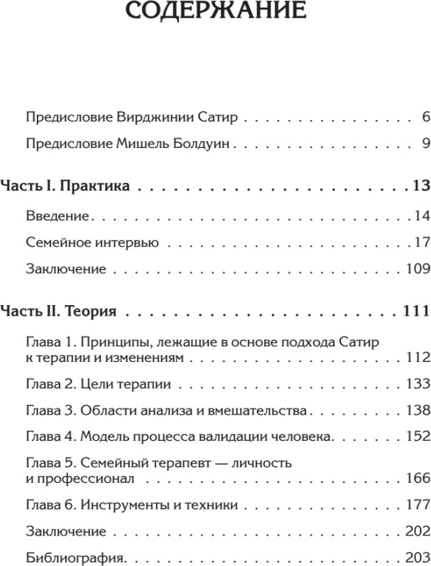 Нехудожественная книга Питер Семья, в которой все можно изменить, твердая обложка (Сатир Вирджиния, Болдуин Мишель) — фото 2