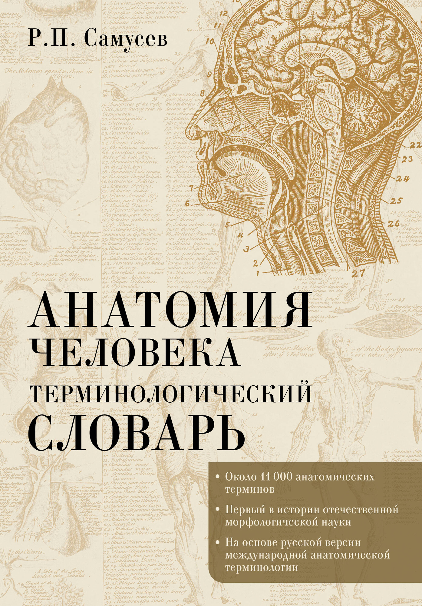 Книга АСТ Терминологический. Анатомия человека (Самусев Рудольф 9785171662707)