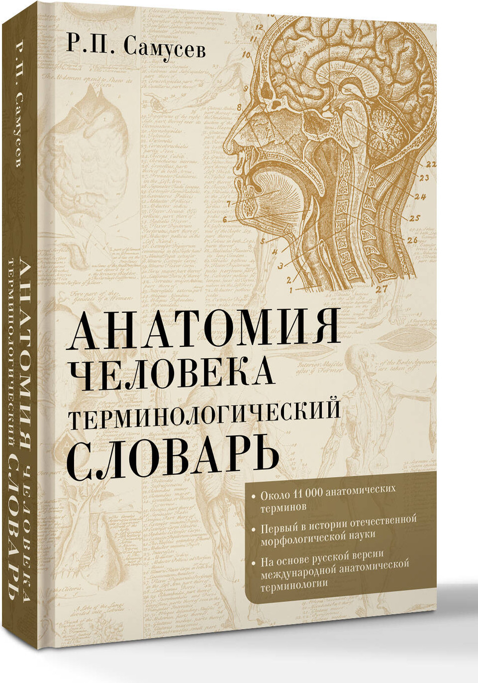 Книга АСТ Терминологический. Анатомия человека (Самусев Рудольф 9785171662707) — фото 2