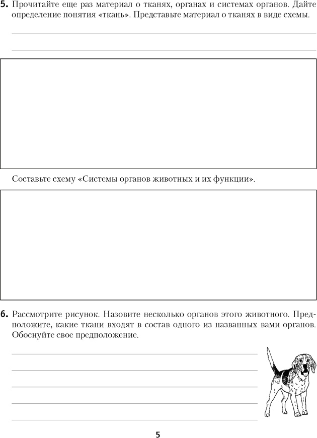 Рабочая тетрадь Аверсэв Биология. 8 класс. 2025, мягкая обложка (Лисов Николай) — фото 3