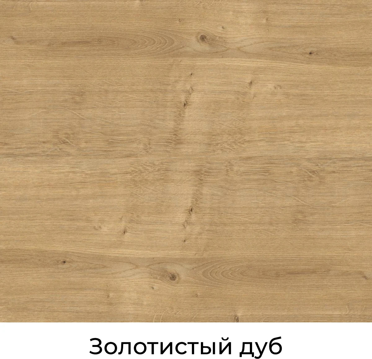 Письменный стол Crafto Тор 01 138x70x75 (черный дуб) — фото 4