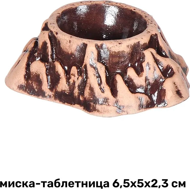 Террариум Gloxy Набор для эублефара / GL-082656 — фото 5