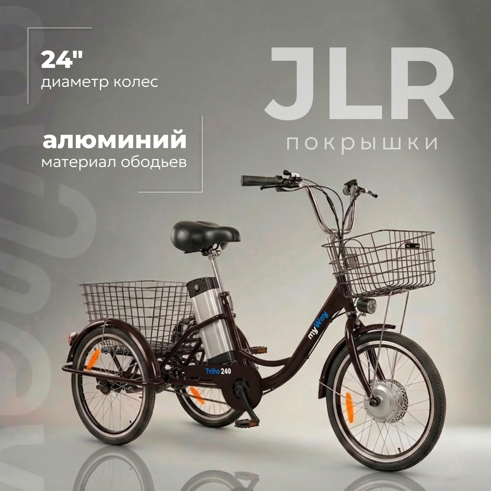 Электровелосипед MyWay Trike 350 Max 24 (15, черный) — фото 5