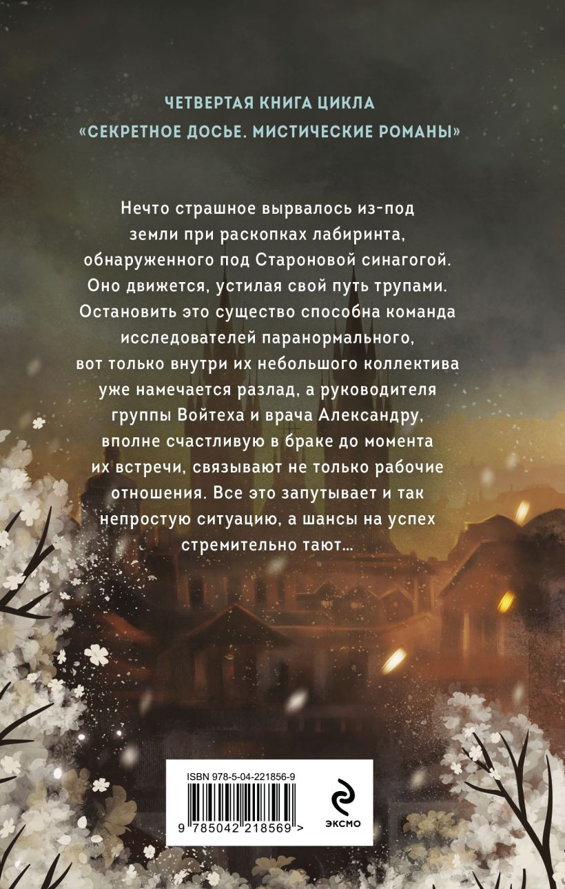 Художественная книга Эксмо Проклятие Пражской синагоги (Тимошенко Наталья, Обухова Елена 9785042218569) — фото 2