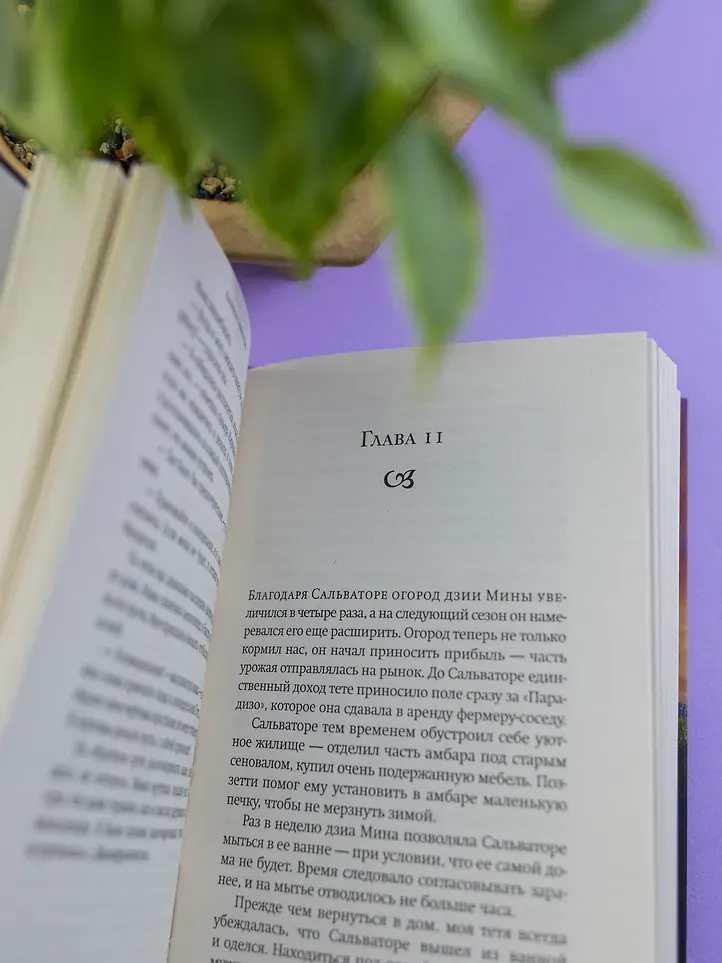 Художественная книга Фантом-пресс Парадизо (Сканакапра Франческа 9785864719985) — фото 2