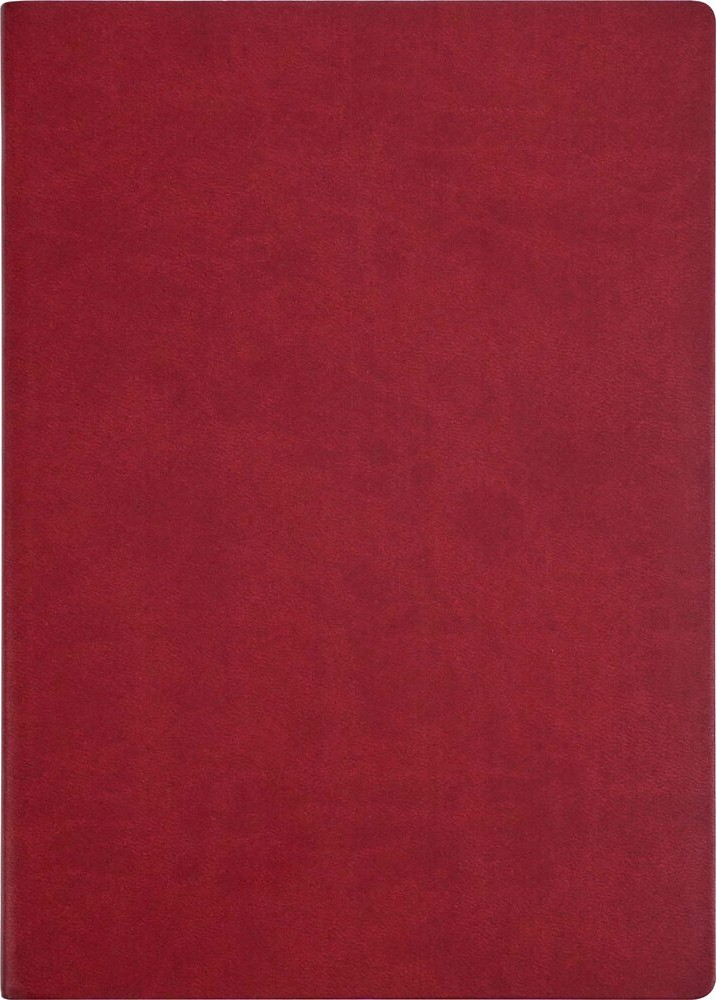 Ежедневник CASTELLI Tucson Flex / UNST454/007125-454 (бургунди)
