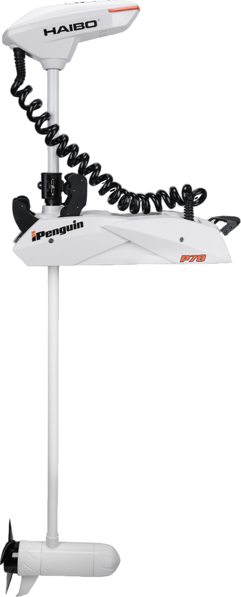 Мотор лодочный Haibo iPenguin P70 12V