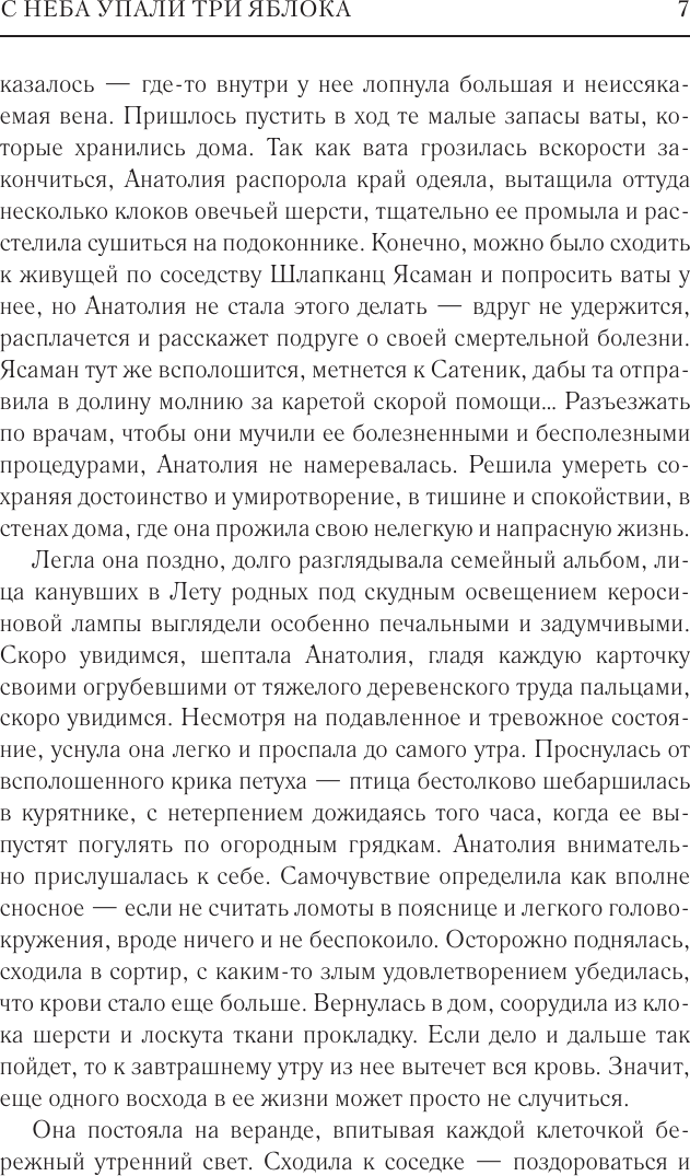 Художественная книга АСТ С неба упали три яблока. Люди, которые всегда со мной. Зулали (Абгарян Н. 9785171635558) — фото 5