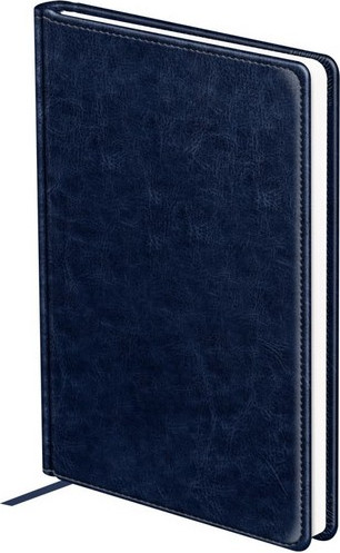 Ежедневник BG Nebraska. Blue А5 / DuA5_61023 (160л)