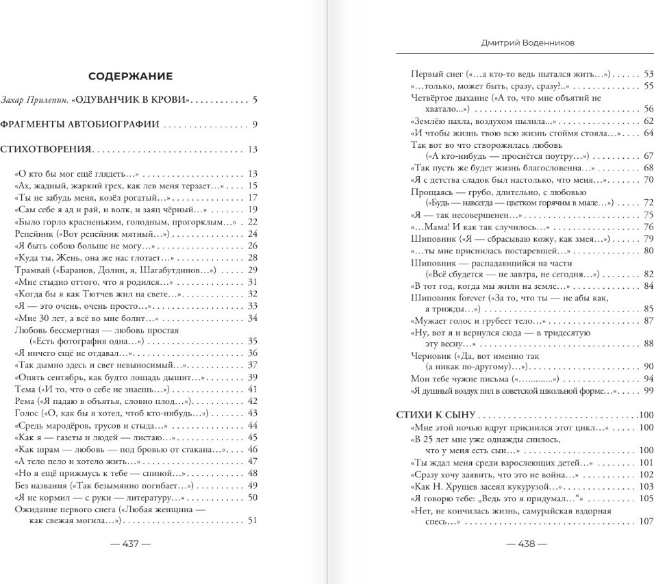 Художественная книга АСТ Вот именно так и никак по другому, твердая обложка (Воденников Дмитрий) — фото 2