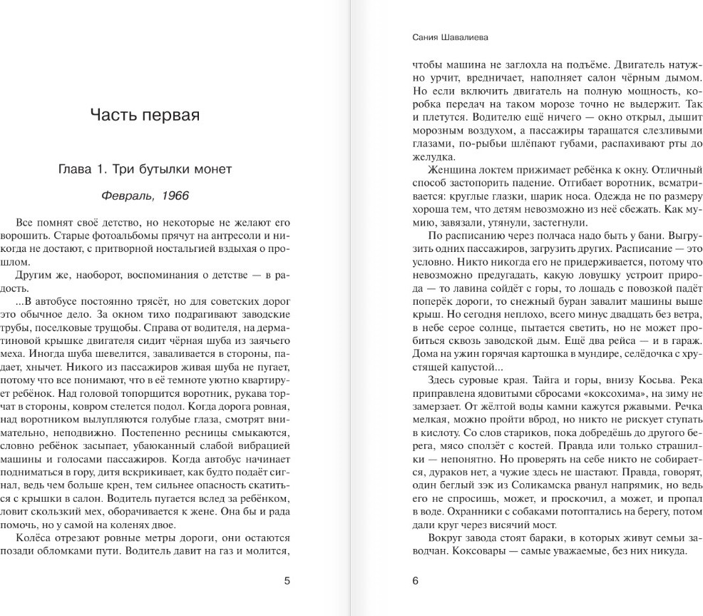 Художественная книга АСТ Сто мелодий из бутылки (Шавалиева Сания, твердая обложка) — фото 4