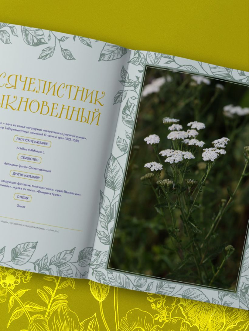 Книга Эксмо Шаманское травничество. Сила растений (Брантегани Мэрилин 9785042103315) — фото 2
