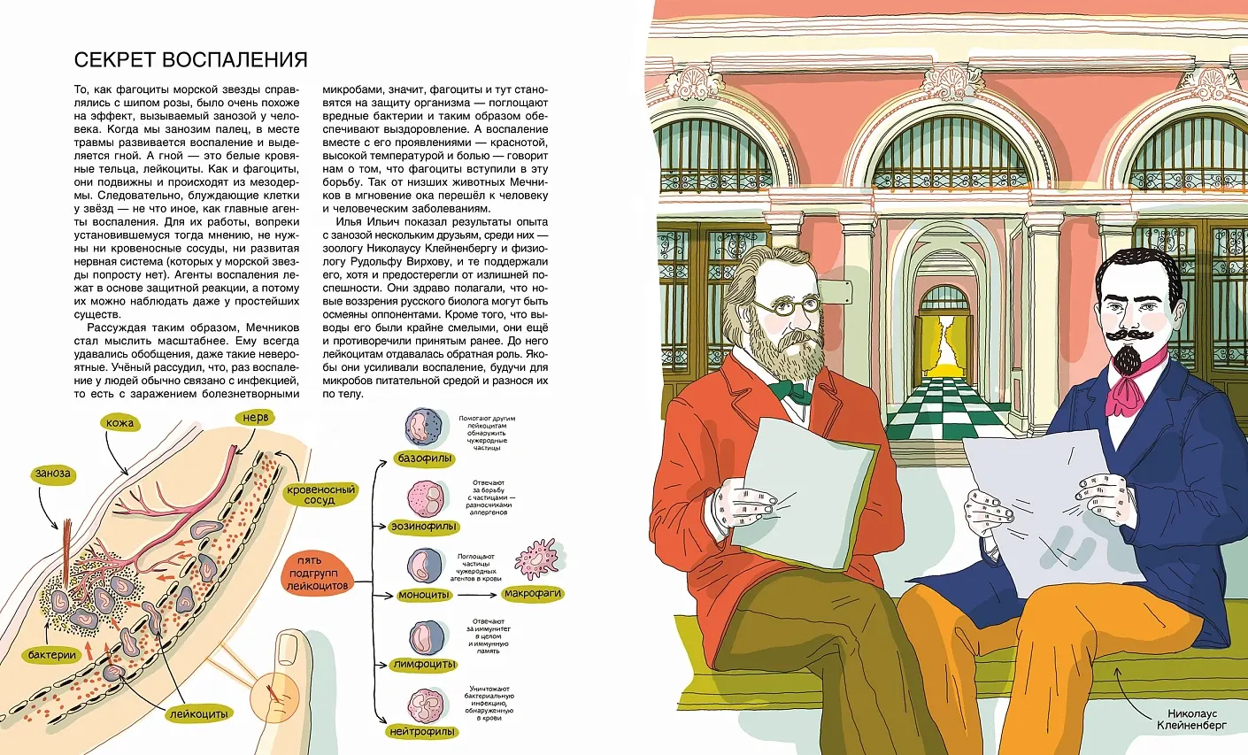 Энциклопедия Альпина Мир биолога Мечникова (Шевчук Полина, Волчок Анастасия 9785006303508) — фото 4