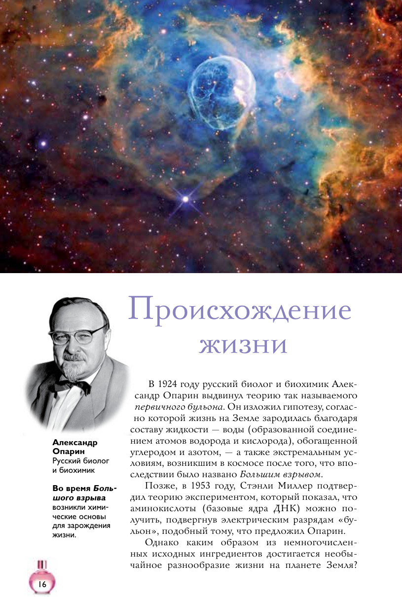 Книга АСТ Духи. Основы парфюмерии (Видаль Вальс Агусти 9785171730949) — фото 6