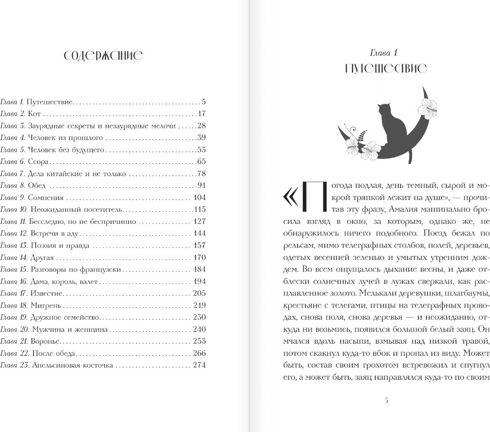 Художественная книга АСТ Кукольный дом, твердая обложка (Вербинина Валерия) — фото 3
