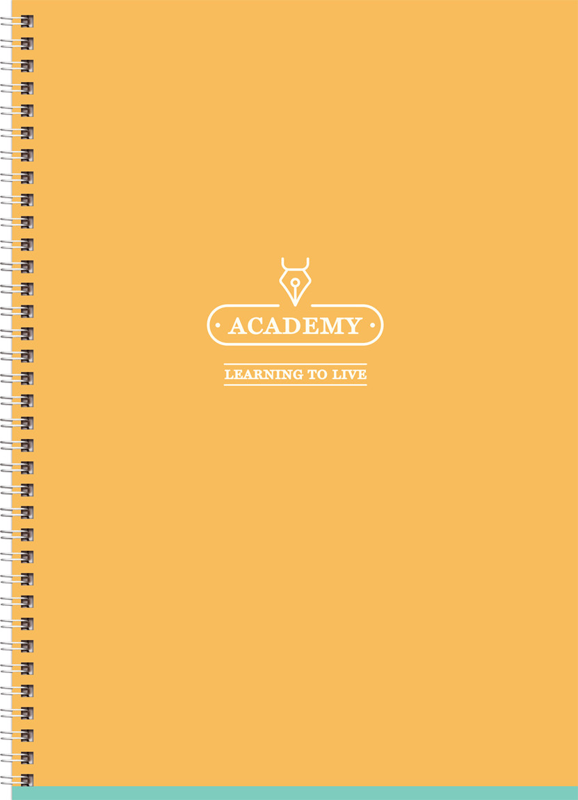 Тетрадь BG Academy / Т4гр80_лс 11910 (80л)
