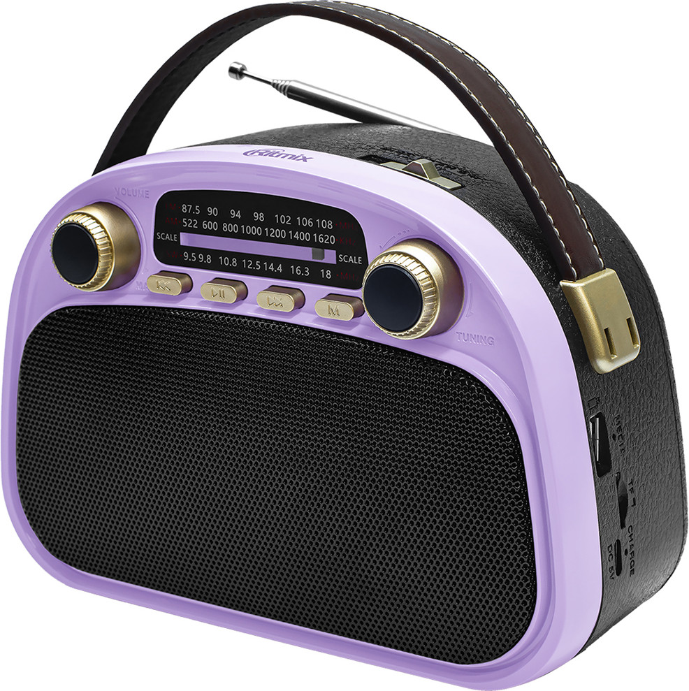Радиоприемник Ritmix RPR-040 (лавандовый)
