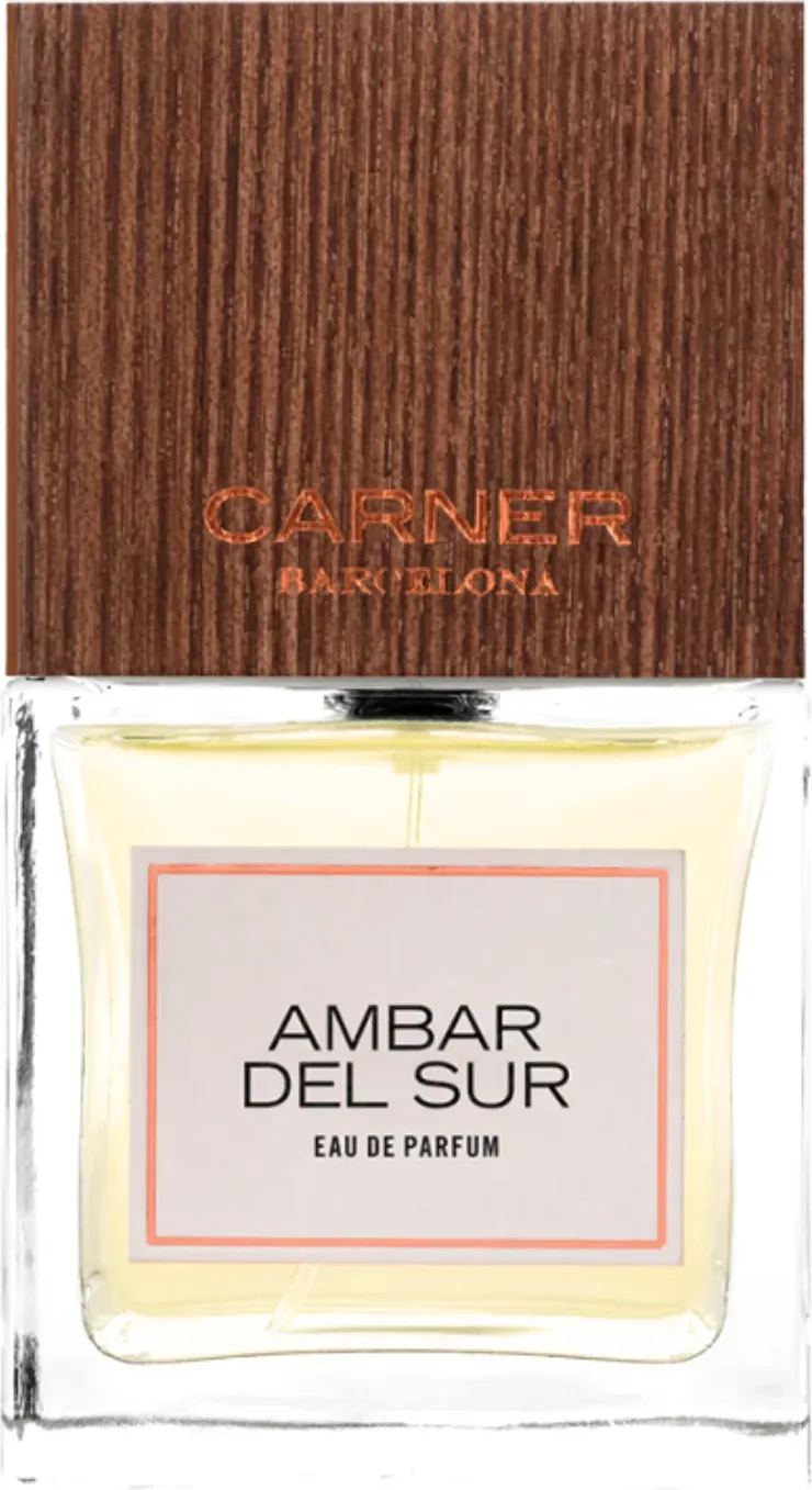 Парфюмерная вода Carner Barcelona Ambar Del Sur (100мл)