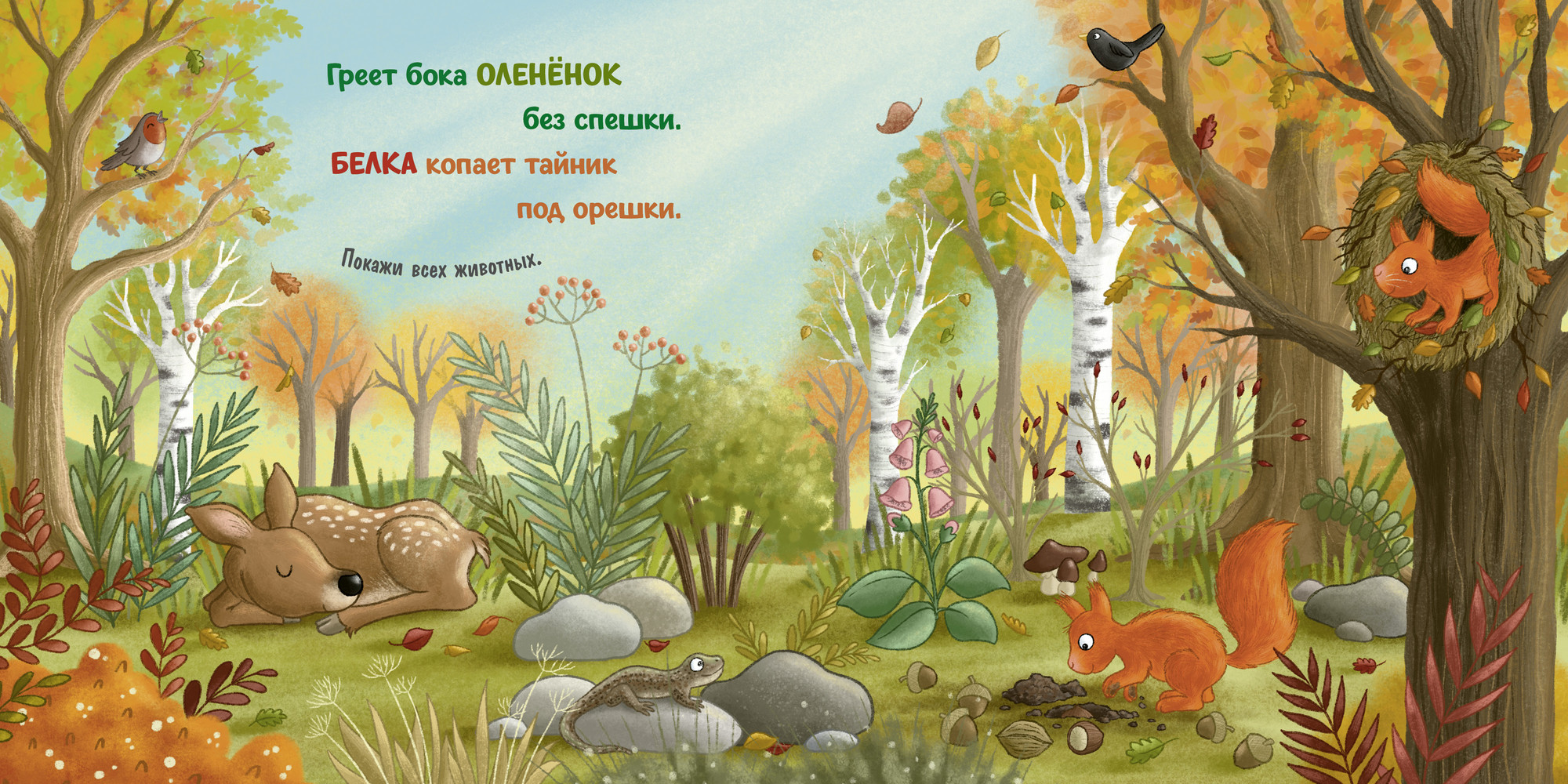 Художественная книга CLEVER Книжки-картонки. Осень в лесу, твердая обложка — фото 3