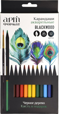 Набор акварельных карандашей АртФормат Blackwood / AF03-061-12 (12цв)
