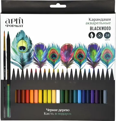 Набор акварельных карандашей АртФормат Blackwood / AF03-061-24 (24цв)