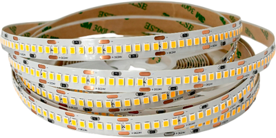 Светодиодная лента Truenergy 16562