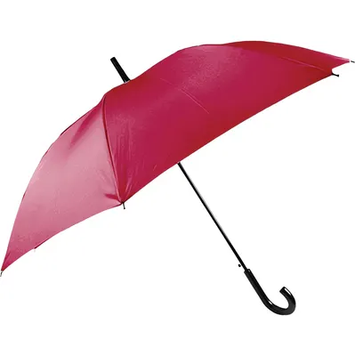 Зонт-трость RST Umbrella 1155S-C5