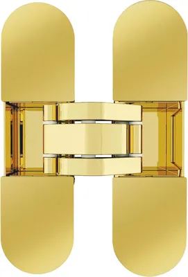 Петля дверная AGB Eclipse 2.2 / E30200.85.03.640 (латунь)