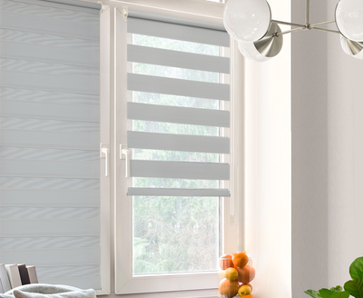 Рулонная штора Delfa Сантайм День-Ночь Стандарт A605 (65x160, серый)