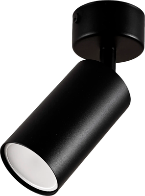 Спот Truenergy 21331 (с лампой General Lighting 661462)