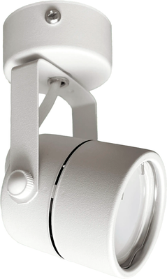 Спот Truenergy 21344 (с лампой General Lighting 661462)