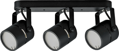 Спот Truenergy 21356 (с лампами General Lighting 661462 3шт)