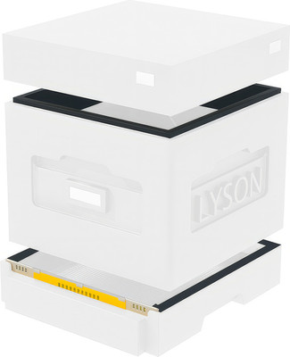 Улей Lyson Дадан На 10 Рамок / WKW1 (неокрашенный)