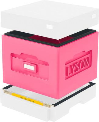 Улей Lyson Дадан На 10 Рамок / WK03W (розовый/неокрашенный)