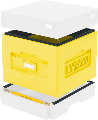 Улей Lyson Дадан На 10 Рамок / WKY01W (желтый/неокрашенный)