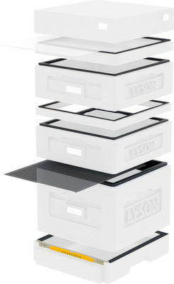 Улей Lyson Дадан На 10 Рамок / WKW1008 (неокрашенный)