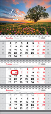 Календарь настенный BG Цветущий закат / 380956  (2026г)