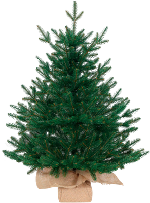 Ель искусственная National Tree Company Венера премиум 75см / ВНР/ПР-75