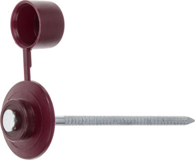 Гвоздь кровельный Starfix SMP5-74397-100