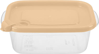 Контейнер Phibo Фреш / 431147908 (оранжевый)